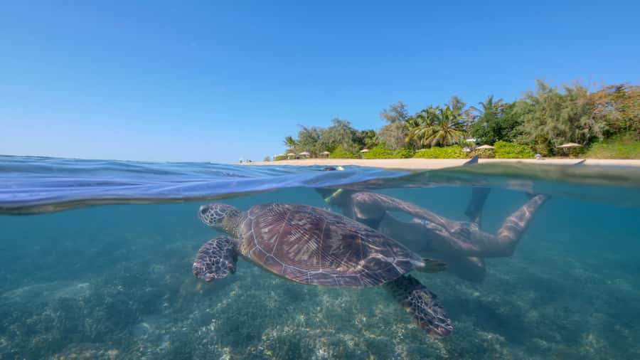 Port Douglas: Low Isles Glass Bottom Boat & Snorkeling Tour - The calm lagoon and guided snorkeling