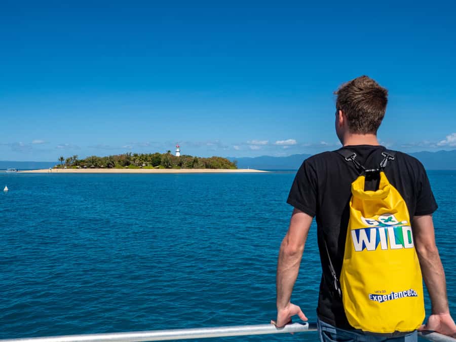 Port Douglas: Low Isles Glass Bottom Boat & Snorkeling Tour - Turtles, fish, and the changing reef