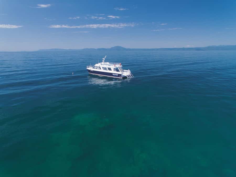 Port Douglas: Low Isles Glass Bottom Boat & Snorkeling Tour - Morning or afternoon?