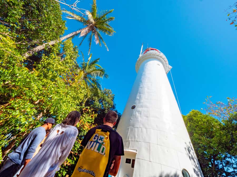 Port Douglas: Low Isles Glass Bottom Boat & Snorkeling Tour - Food, equipment, and crew care