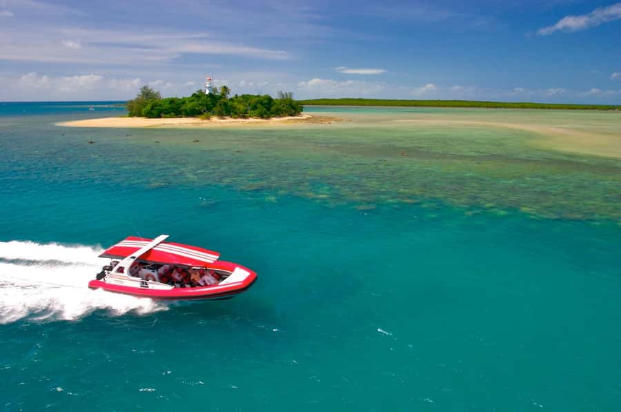 Port Douglas: Low Isles Reef Snorkeling Tour - Why Low Isles suits first-time snorkelers