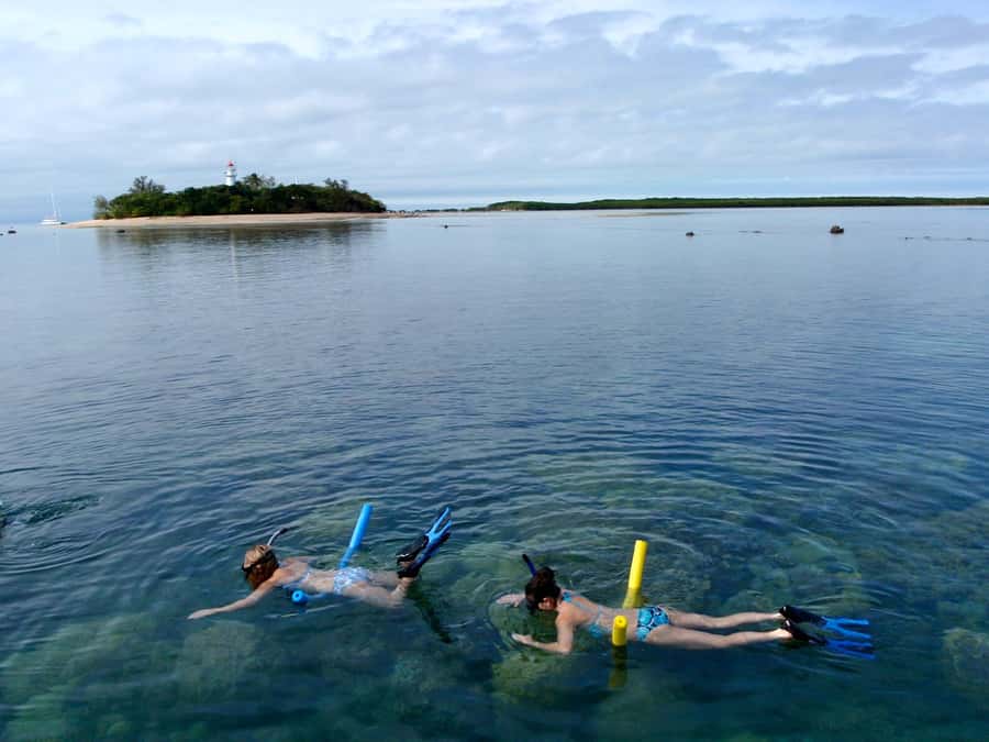 Port Douglas: Low Isles Reef Snorkeling Tour - Should you book the Reef Sprinter?