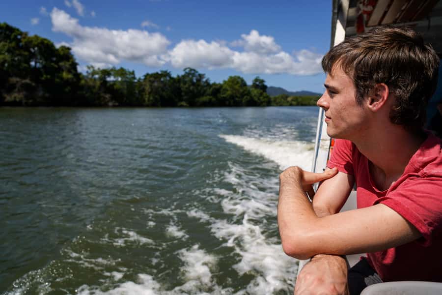 Port Douglas: Morning Daintree Tour w/ Wildlife Cruise - Practical Advice for a Better Morning