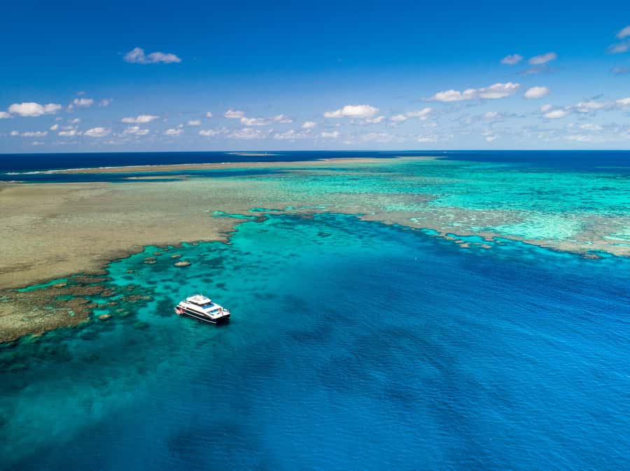 Port Douglas: Outer Barrier Reef Snorkel and Dive Options - Key points to know before booking