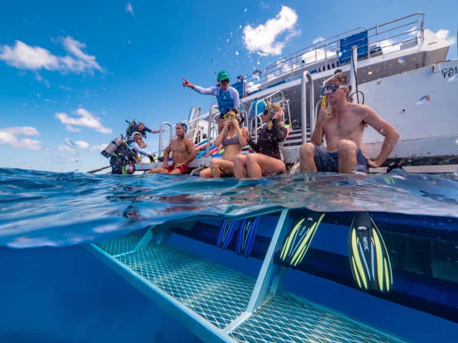 Port Douglas: Outer Barrier Reef Snorkel and Dive Options - Second stop: the longest reef session