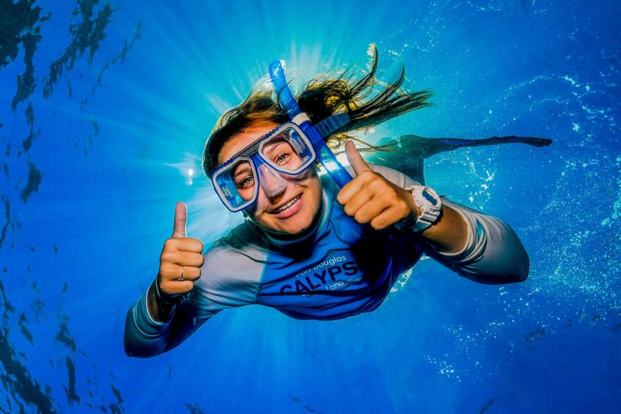 Port Douglas: Outer Barrier Reef Snorkel and Dive Options - What the crew adds to the experience