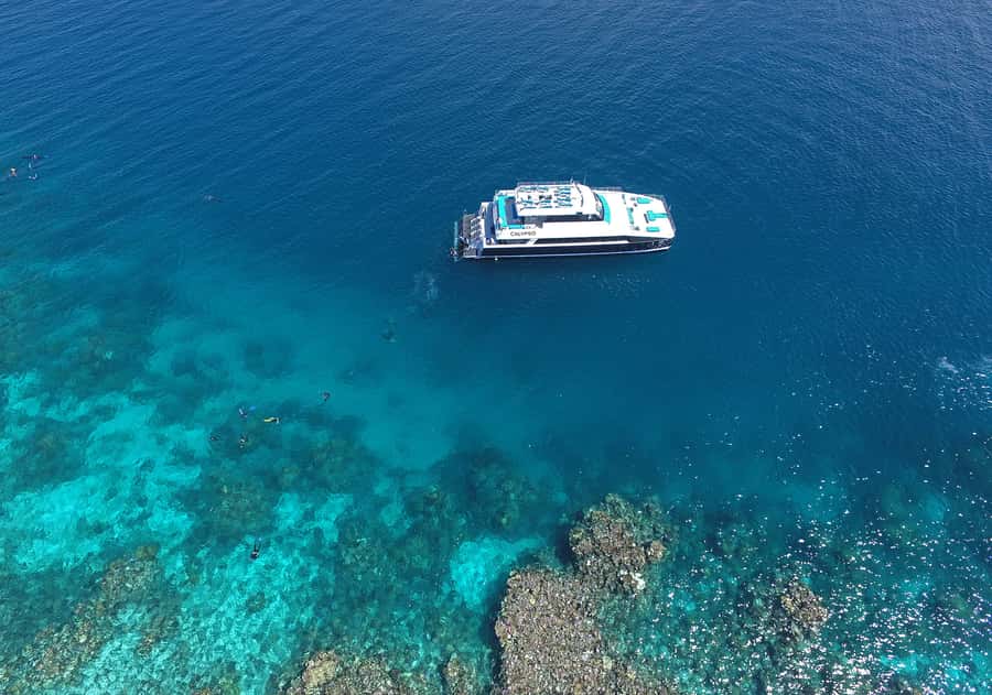 Port Douglas: Outer Barrier Reef Snorkel and Dive Options - Scuba options for first-timers and experienced participants