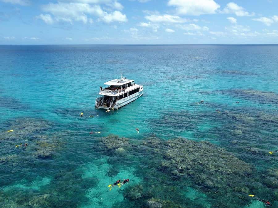 Port Douglas: Outer Great Barrier Reef Snorkeling Cruise - Why Wavelength keeps the day about the reef