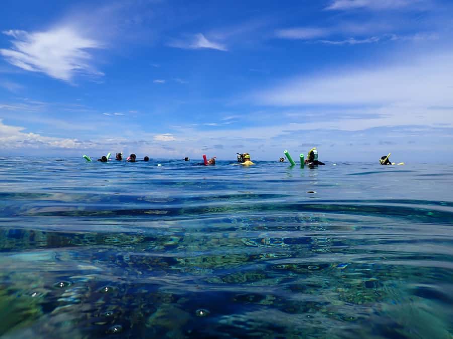 Port Douglas: Outer Great Barrier Reef Snorkeling Cruise - Lunch, reef science, and a welcome rest