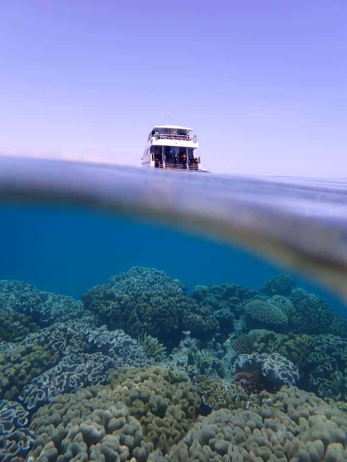 Port Douglas: Outer Great Barrier Reef Snorkeling Cruise - Third site: your longest chance to look around