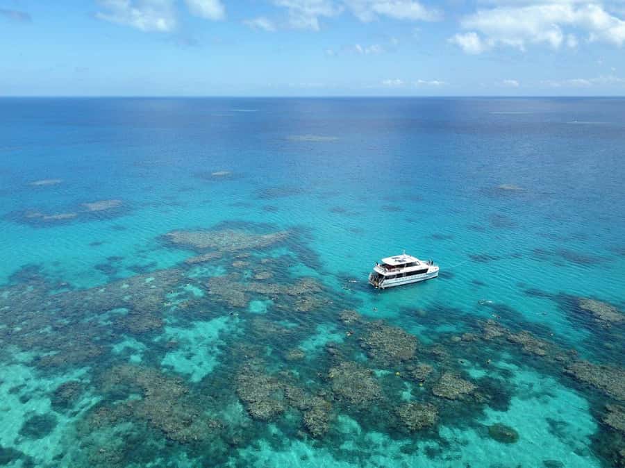 Port Douglas: Outer Great Barrier Reef Snorkeling Cruise - From Port Douglas to the edge of the continental shelf