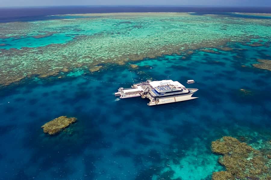 Port Douglas: Quicksilver Outer Barrier Reef Full-Day Cruise - Key points at a glance