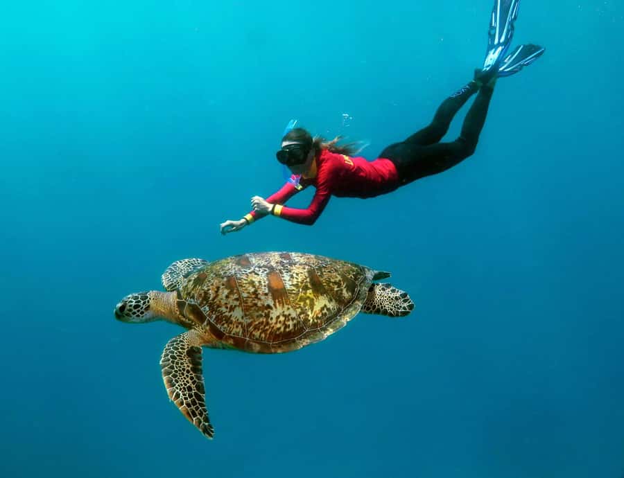 Port Douglas: Quicksilver Outer Barrier Reef Full-Day Cruise - Reaching Agincourt Reef from Port Douglas