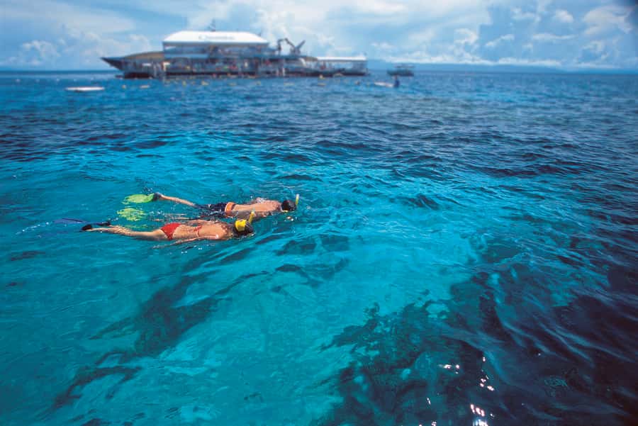 Port Douglas: Quicksilver Outer Barrier Reef Full-Day Cruise - Safety, staff, and group size