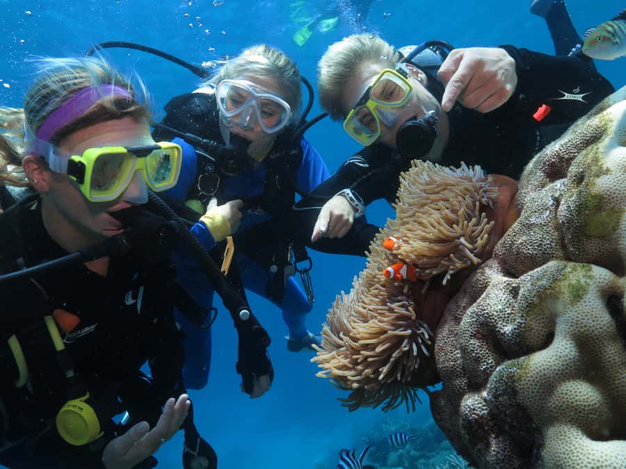 Port Douglas: Quicksilver Outer Barrier Reef Full-Day Cruise - Is $195 good value?