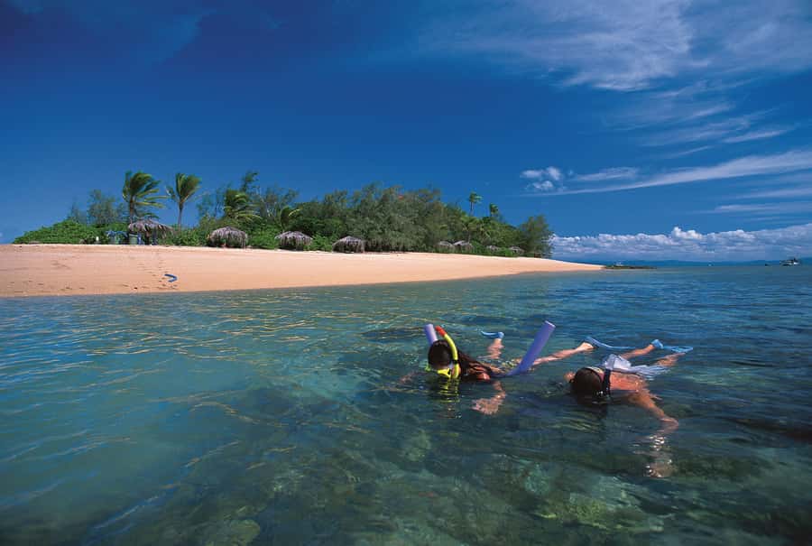 Port Douglas: Reef & Low Isles Cruise on Luxury Catamaran - Guided snorkeling with personal help