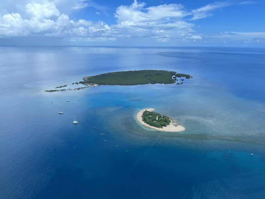Port Douglas: Reef & Low Isles Cruise on Luxury Catamaran - What the crew adds to the day