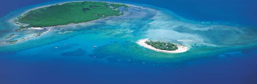 Port Douglas: Reef & Low Isles Cruise on Luxury Catamaran - Who will enjoy this Low Isles cruise most