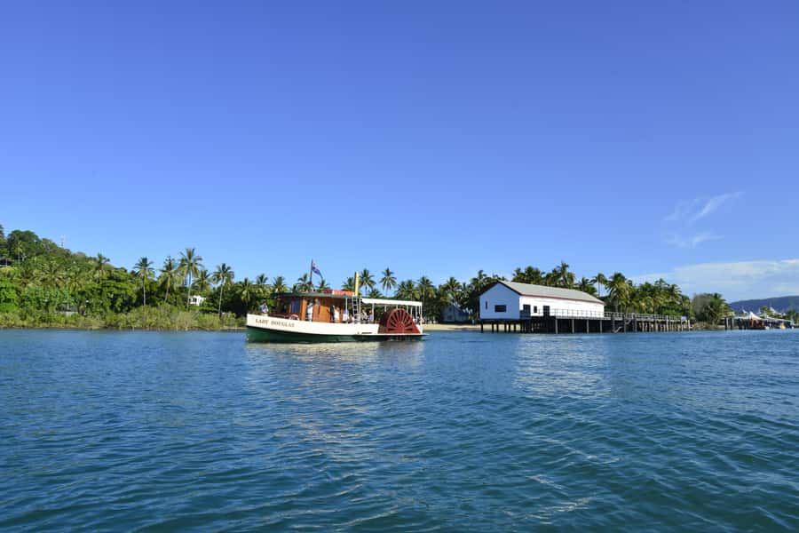 Port Douglas: River Cruise, Crocodile Spotting, Drink/ Snack - Key points to know before you book
