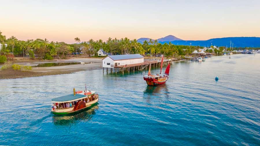Port Douglas: River Cruise, Crocodile Spotting, Drink/ Snack - The crocodile search: exciting, but never certain