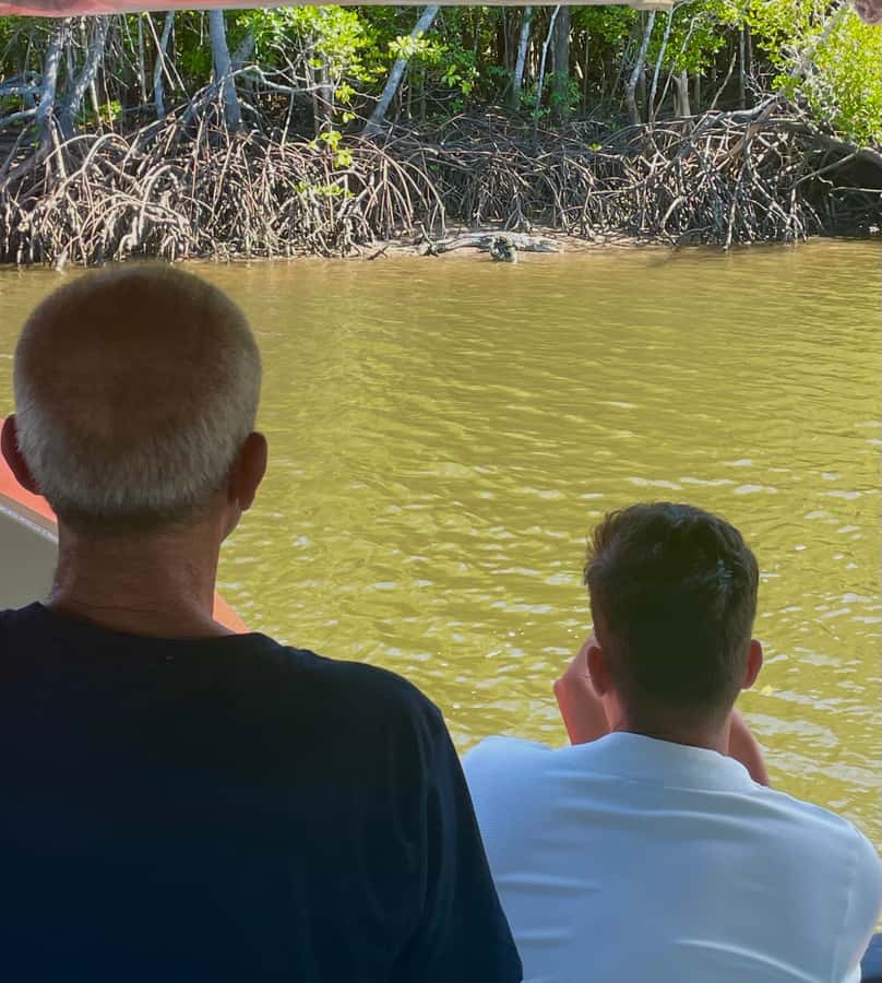 Port Douglas: River Cruise, Crocodile Spotting, Drink/ Snack - A drink and snack that improve the value