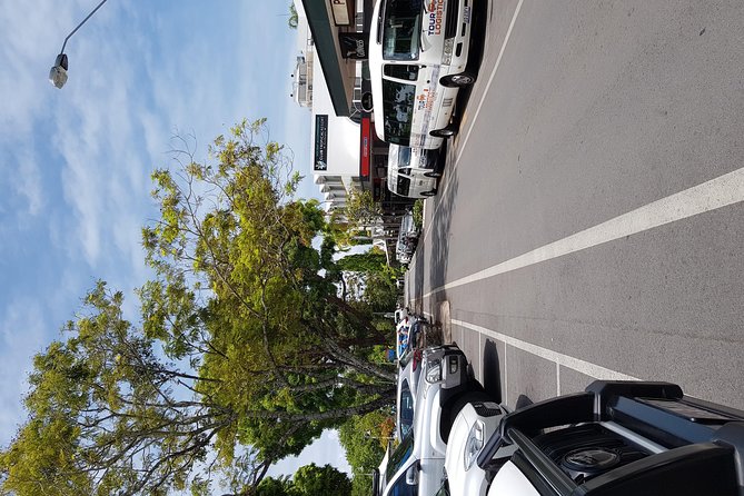 Port Douglas Sunday Markets Day Tour - The guides make a real difference