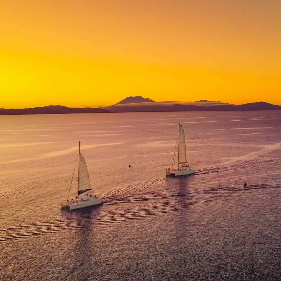 Port Douglas: Sunset Sailing Cruise on Luxury Catamaran - A welcome drink and light food onboard