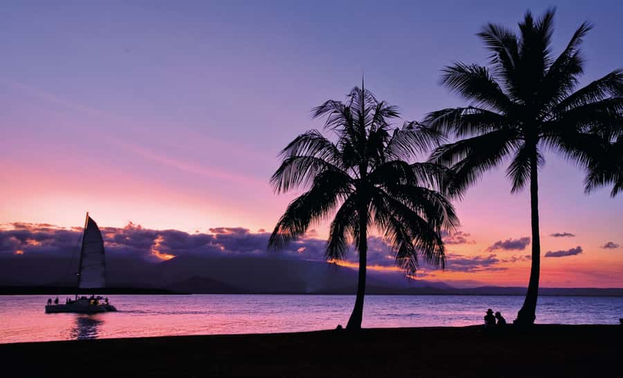 Port Douglas: Sunset Sailing Cruise on Luxury Catamaran - Who will enjoy this Port Douglas sailing