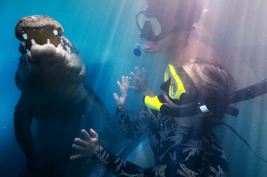 Port Douglas: Wildlife Habitat Swim with Crocodiles - Facing a 4.5-meter crocodile at CrocArena