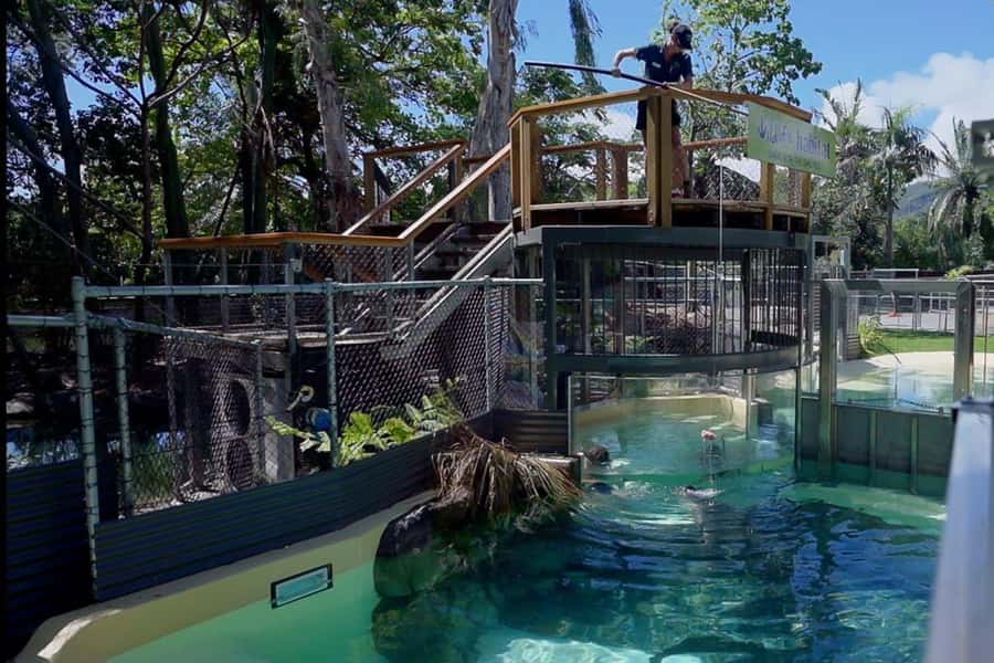Port Douglas: Wildlife Habitat Swim with Crocodiles - What the underwater view lets you see