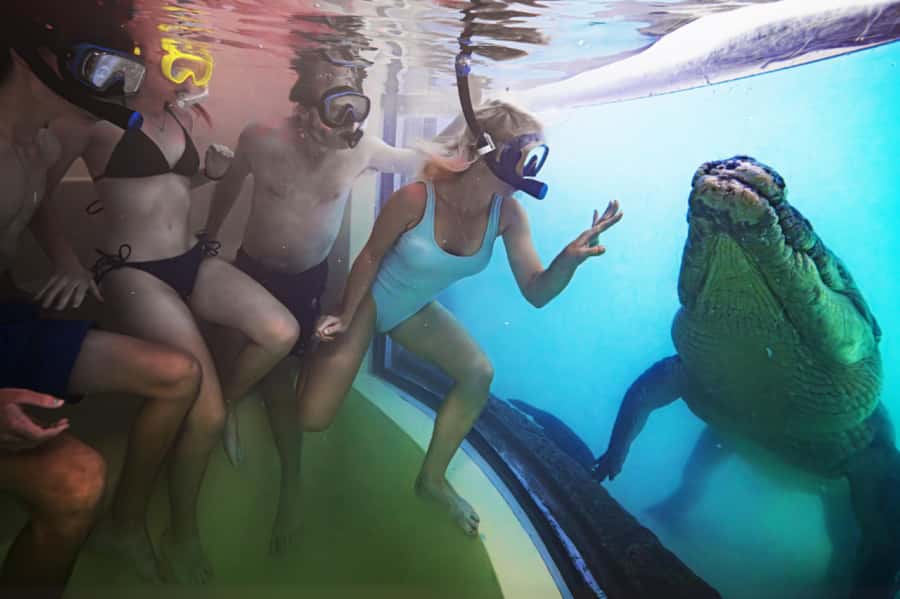 Port Douglas: Wildlife Habitat Swim with Crocodiles - From CrocArena to five wildlife habitats