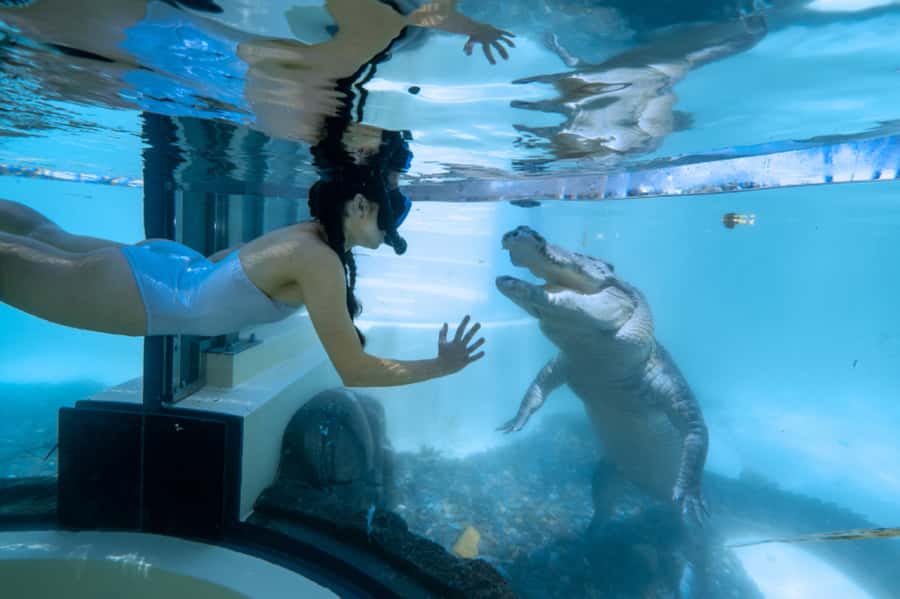 Port Douglas: Wildlife Habitat Swim with Crocodiles - Who will enjoy this experience most?