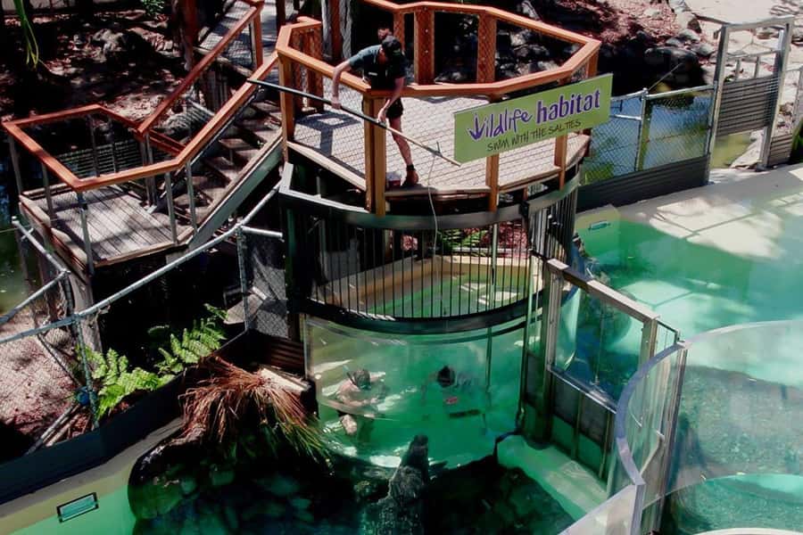 Port Douglas: Wildlife Habitat Swim with Crocodiles - The 15-minute safety briefing matters