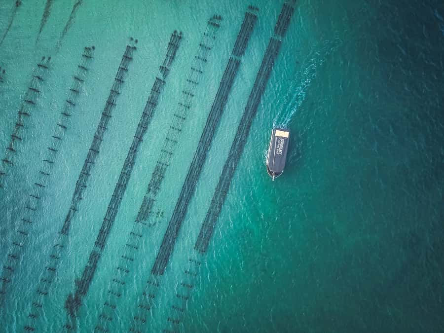 Port Lincoln: Coffin Bay Seafood, Wine, and Nature Day Trip - One day, three very different Eyre Peninsula experiences