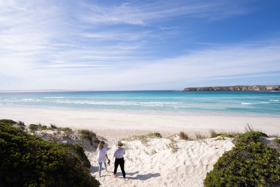 Port Lincoln: Coffin Bay Seafood, Wine, and Nature Day Trip - What the day feels like in practice