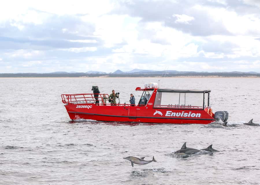 Port Stephens: 1hr Dolphin Watch Express - Key points to know before you book
