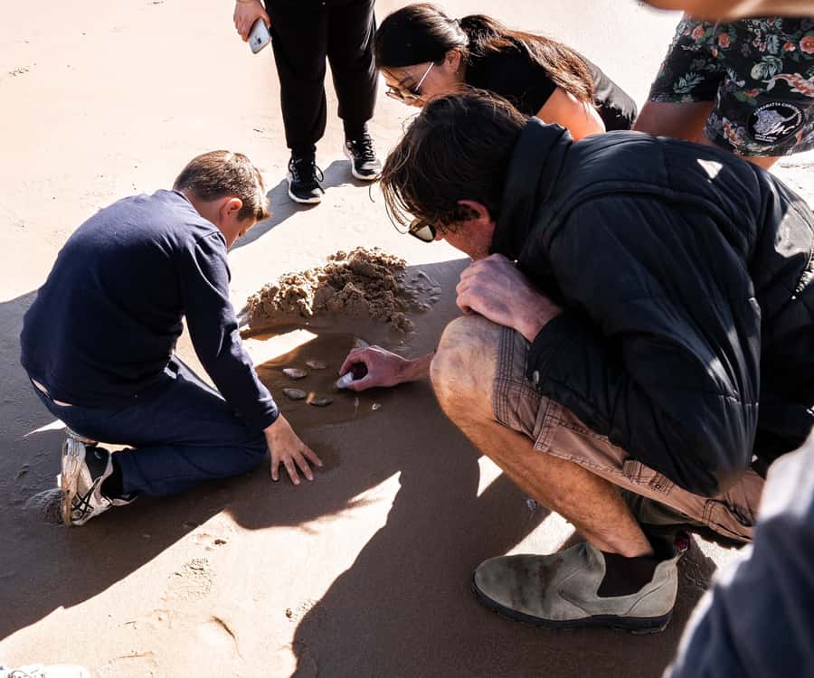 Port Stephens: Birubi Beach 4WD Tour with Sandboarding - Key points at a glance