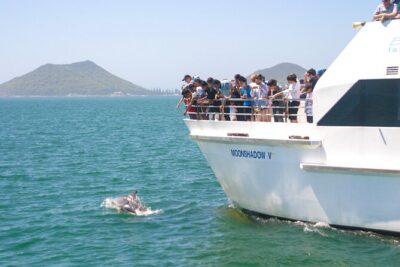 Dolphin Discovery Cruise