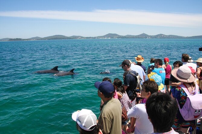 Port Stephens: Dolphin Discovery Cruise - Is $32.28 good value?
