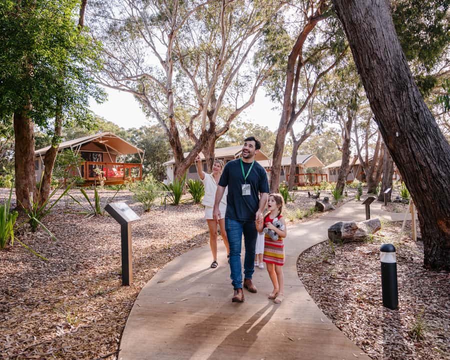 Port Stephens: Koala Sanctuary General Admission Ticket - Key points to know before you go