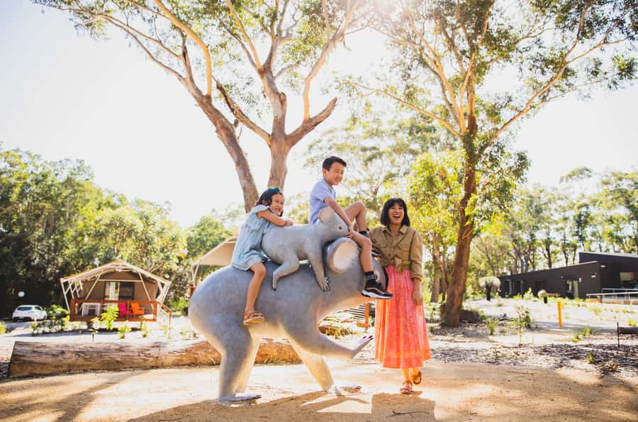 Port Stephens: Koala Sanctuary General Admission Ticket - Fat Possum Kiosk gives the visit a useful finish