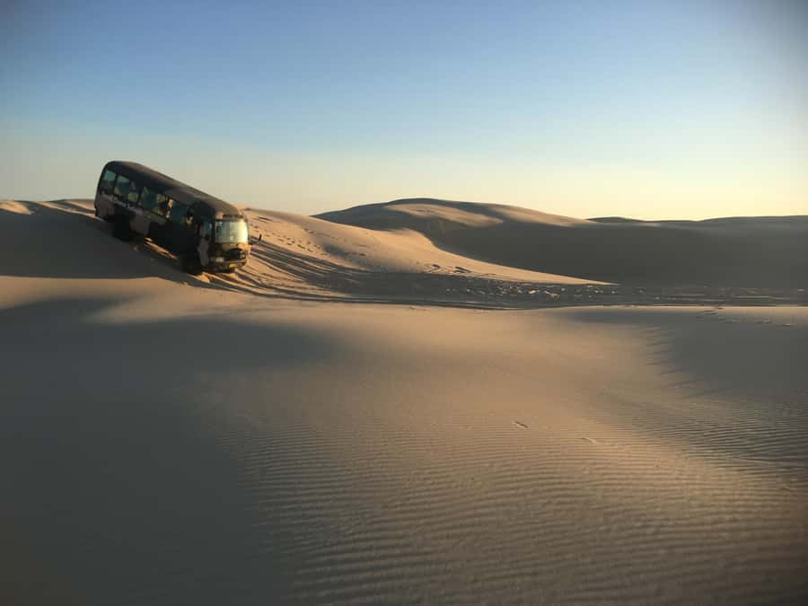 Port Stephens: Unlimited Sandboarding with 4WD Dune Transfer - Key points at a glance