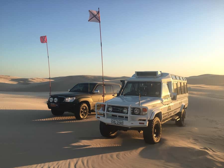 Port Stephens: Unlimited Sandboarding with 4WD Dune Transfer - Who will enjoy this Port Stephens activity