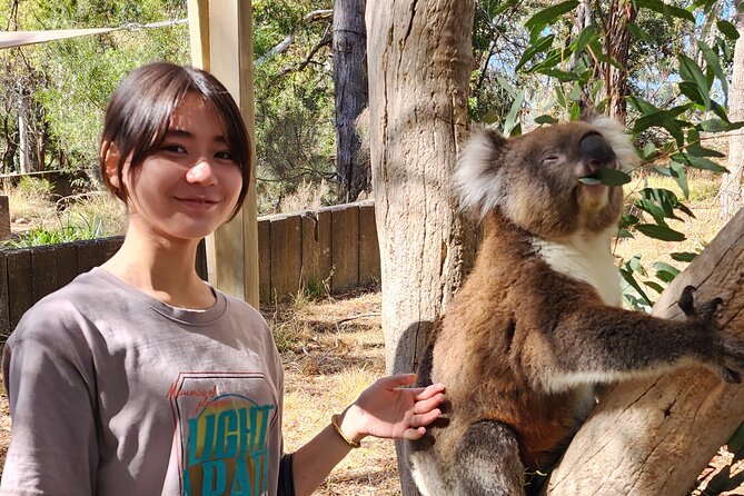Premium Adelaide Hills Cleland Wildlife and Hahndorf Minibus Tour - The minibus makes the hills practical
