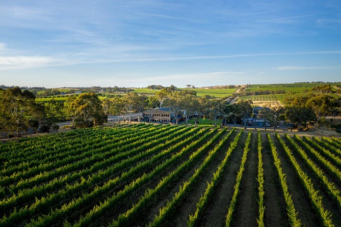 Premium All-Inclusive McLaren Vale Wine and Brew Minibus Tour - Lunch and local beer at Swell Brewing