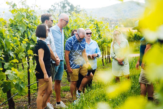 Premium Hunter Valley Wine Tour with Lunch from Sydney - The distillery stop: colorful, unusual, and not for everyone