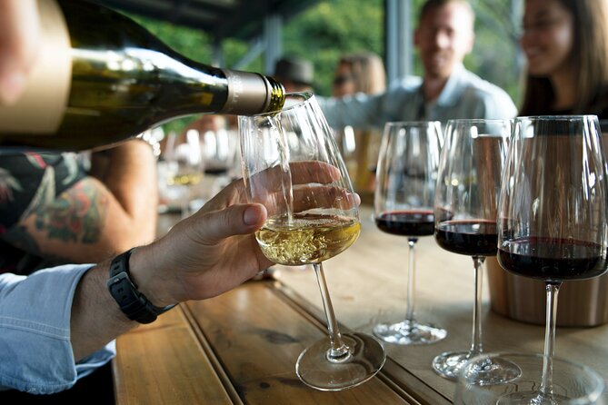 Premium Hunter Valley Wine Tour with Lunch from Sydney - What the guides add to the day