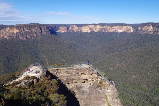PRIVATE Blue Mountains tour & Koalas, Kangaroos, Cruise plus more - Why this private day works well