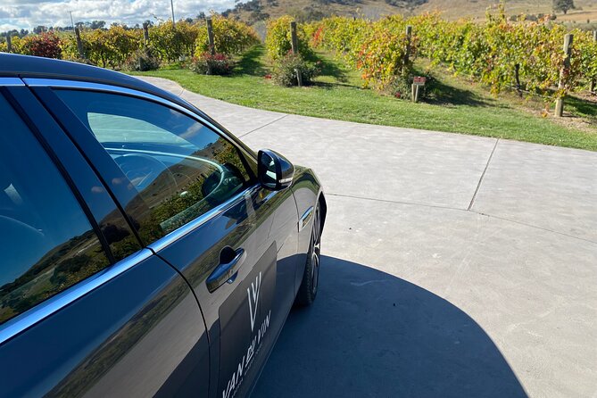 Private Canberra Winery Tour with lunch - Pizza lunch at a vineyard