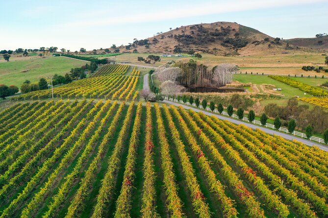 Private Canberra Winery Tour with lunch - The character of Canberra’s wine country